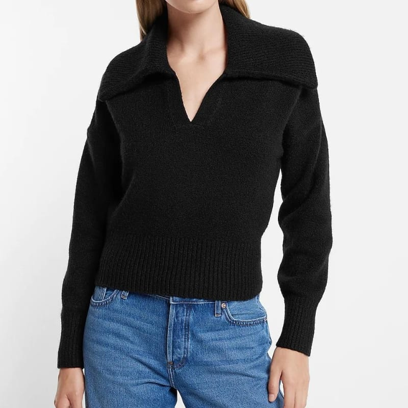Express Collared Sweater