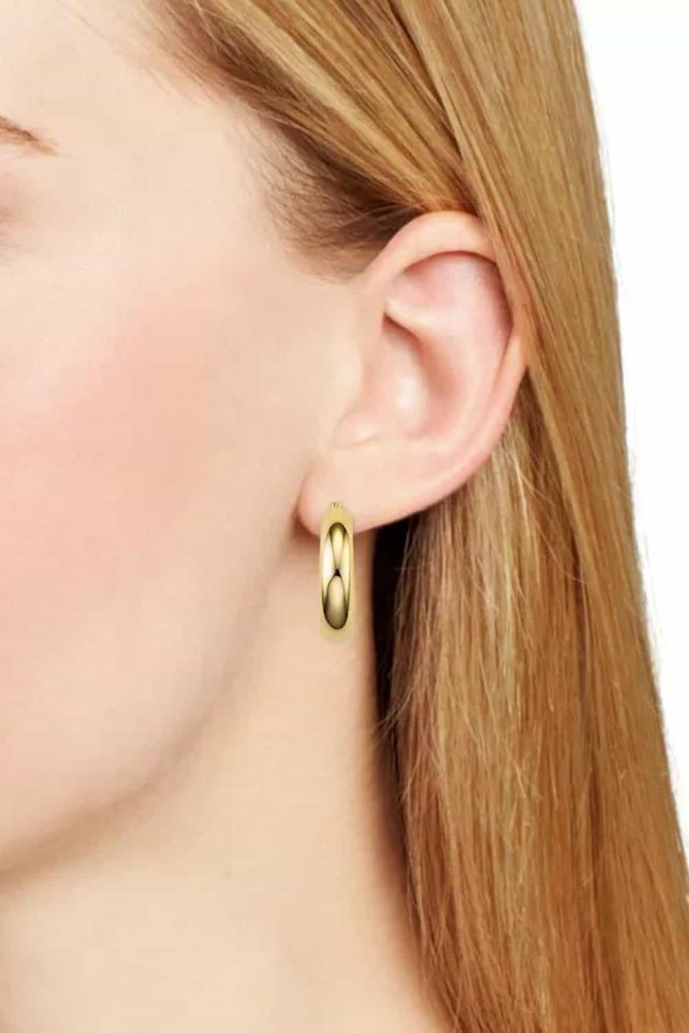 Argento Vivo Hoop Earrings