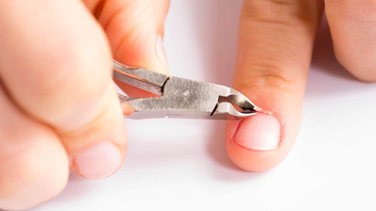 What are Cuticles