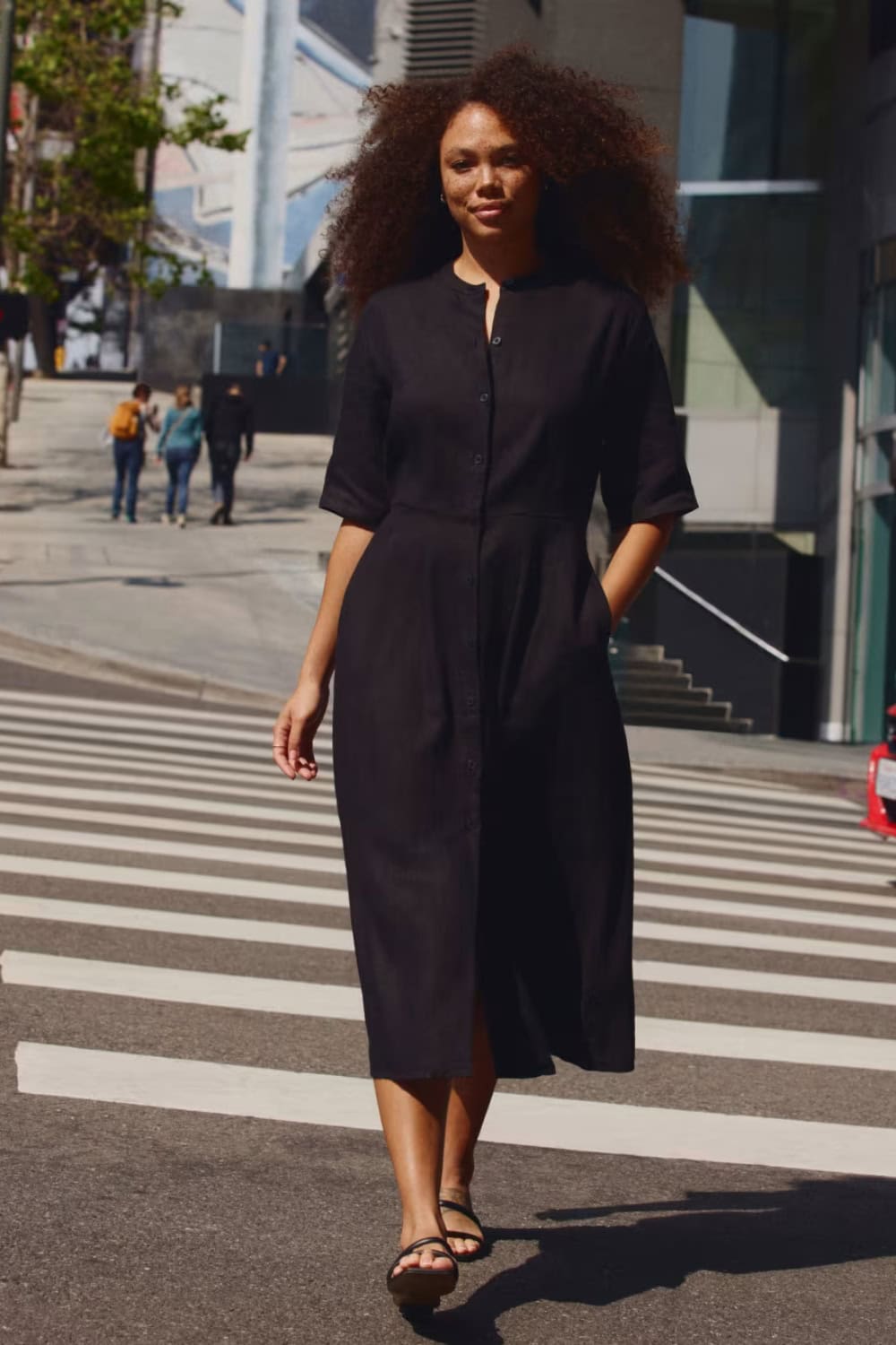 Everlane Linen Shirt Dress