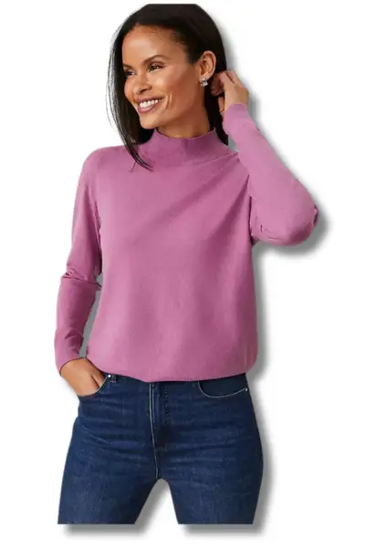 Ann Taylor Mock Neck Sweater